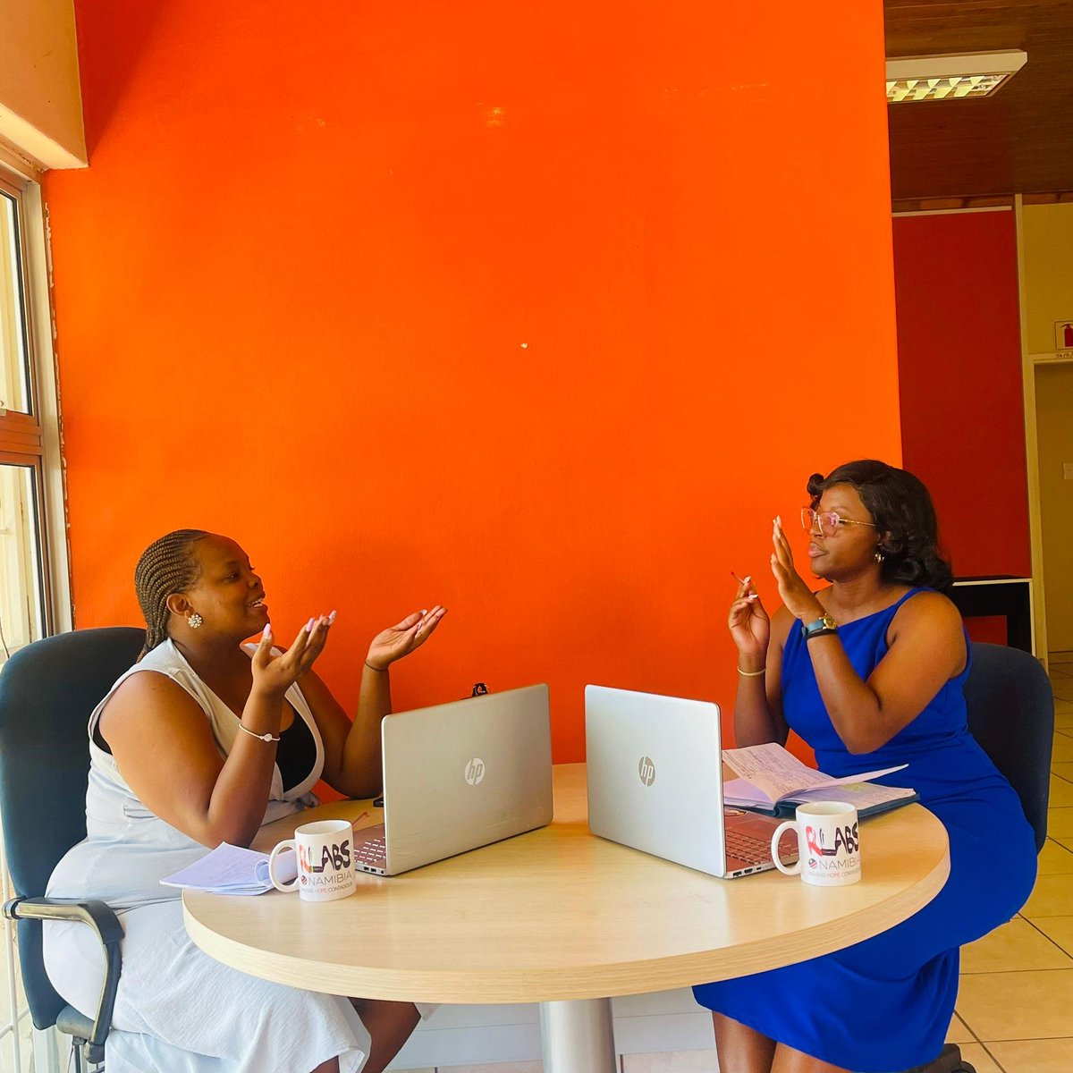 RLabs Namibia tweet media
