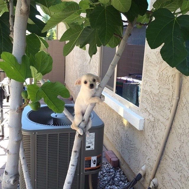 twaniimals's tweet photo. https://t.co/Z9W3plUkiv