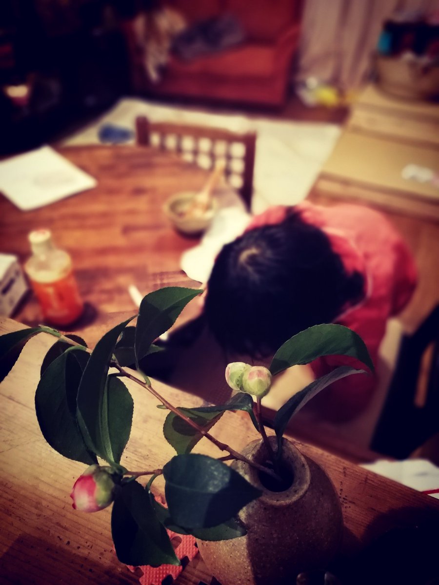 何かちょっと、春の匂いがしませんか？
お正月に椿が咲かず、まだ蕾がたくさん。
植物は正直やねぇ。