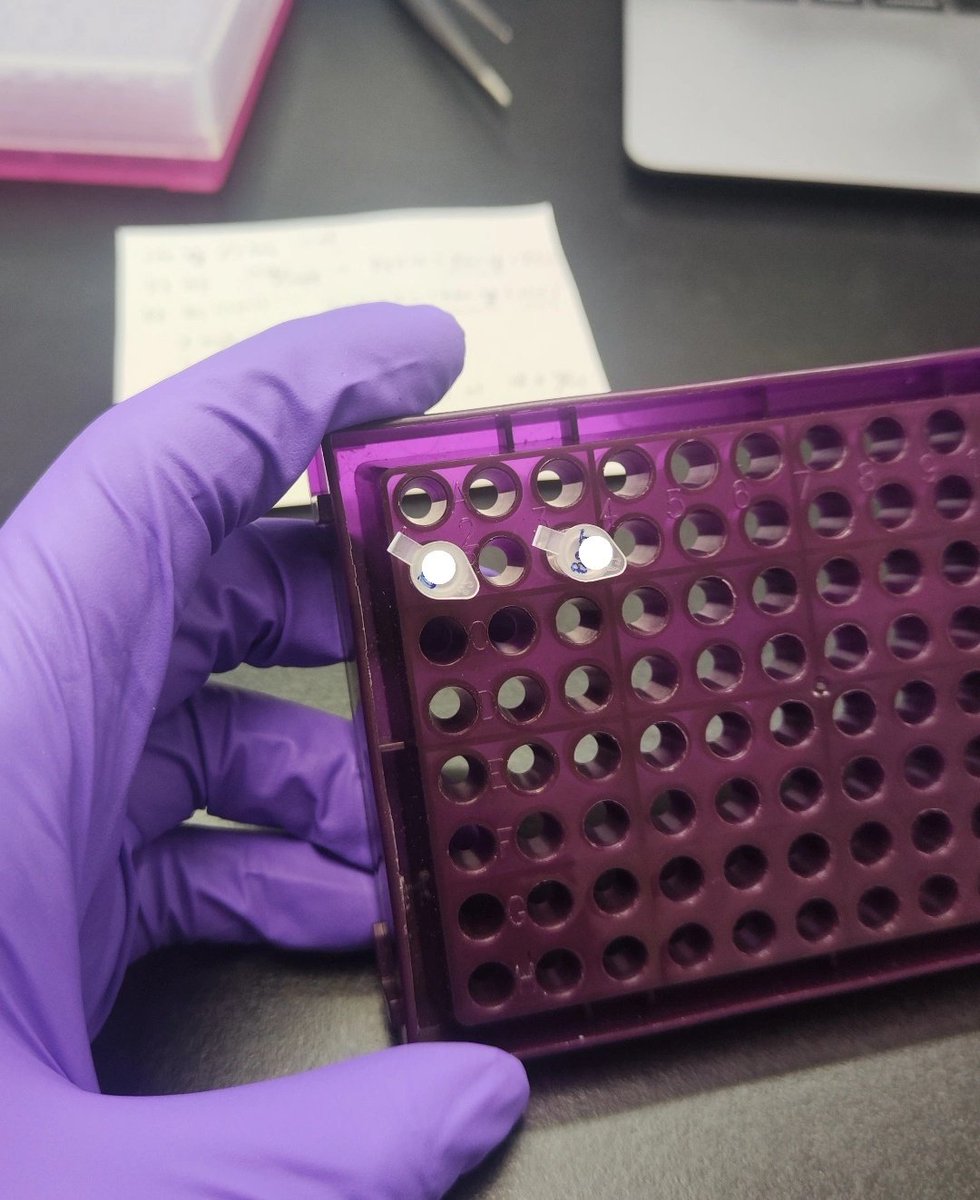 Mark Castillo Bucay tweet media