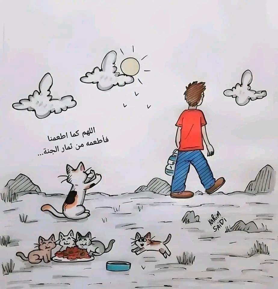 aad_fs's tweet photo. #الرحمةافعال_وليست_اقوال 
#قطط_الشارع 
#كلاب_الشارع 
الرفق بالحيوان ليس مجرد اختيار، بل هو مسؤولية إنسانية وأخلاقية. التعامل برحمة مع الكائنات الحية يعكس تحضر المجتمعات واحترامها للطبيعة. 🤍
 #الرفق_بالحيوان #بيئة_مستدامة https://t.co/FCPRxmEV6s