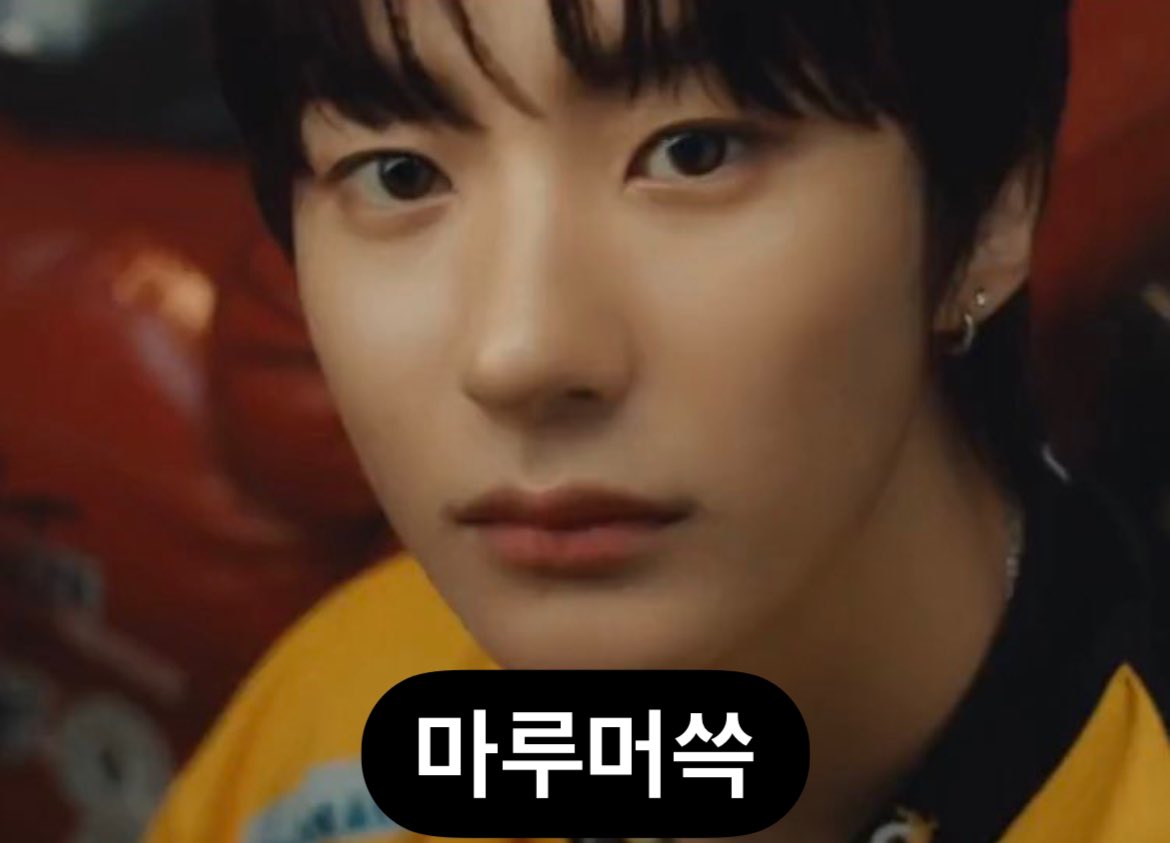 앤톤5명vs강아지5명
송은석: 똑같은거아닌가?