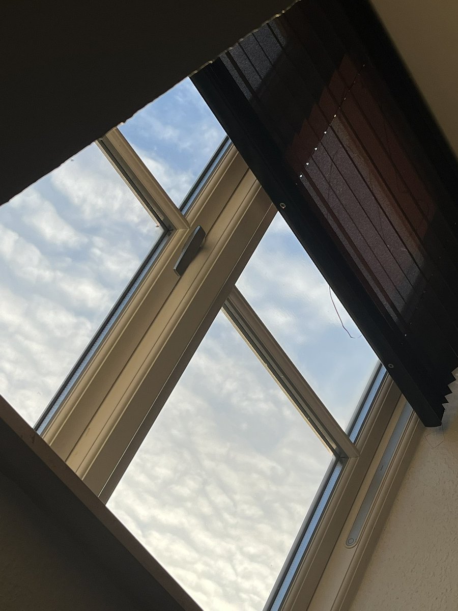 aREEEEEnyxiaa tweet media