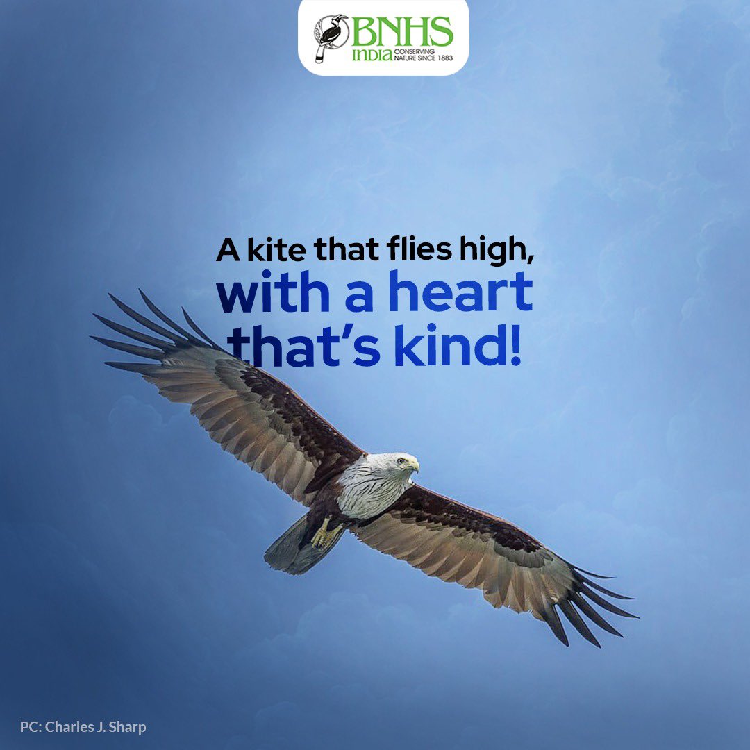 BNHSIndia's tweet photo. Let your joy and celebration shine as a symbol of freedom, spreading cheer for you and every living being! โจ
#BNHS #CelebrateFreedom #FestiveJoy #SpreadCheer #FestiveSeason #JoyForAll #FreedomAndFestivity #CelebrateTogether #FestiveVibes #SeasonOfHappiness #makarsankranti2025 https://t.co/p6nMrDEZYk