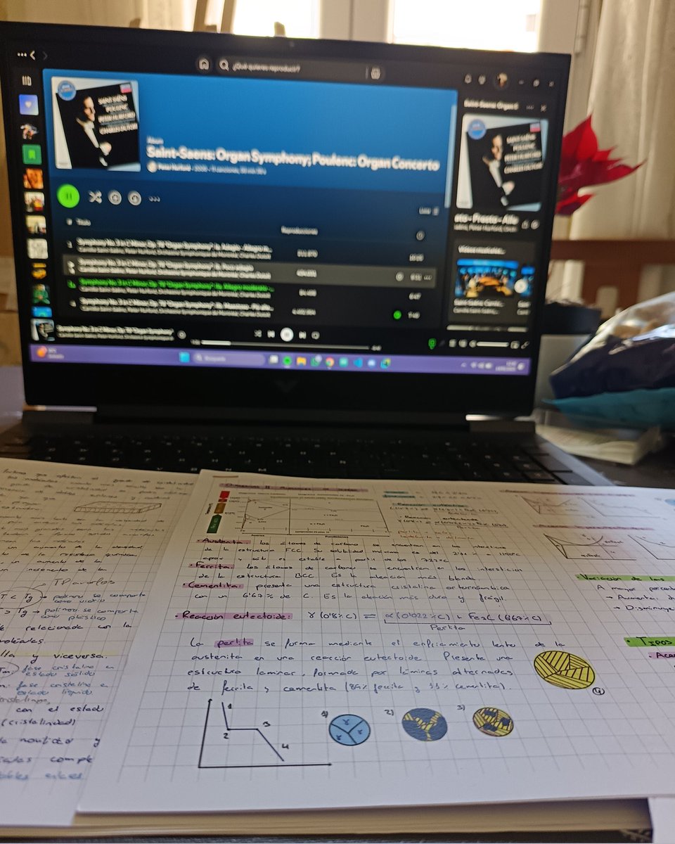 Saint Saens me carrea los finales