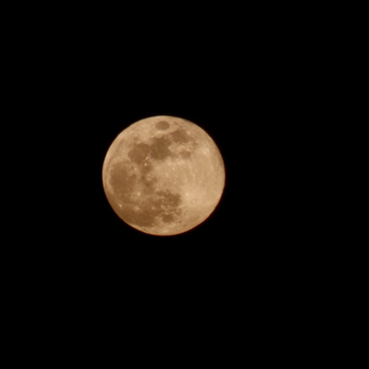 FlaKeysResorts's tweet photo. ๐ Absolutely stunning full moon last nightโthe first full moon of 2025 lit up the January skies in the most magical way! ๐ดโจ Who else caught this incredible sight? Drop your pics and letโs see the beauty from every angle! ๐ธ๐
#FullMoon2025 #FloridaKeysMagic #MoonlitParadise #KeyWestVibes #WolfMoon