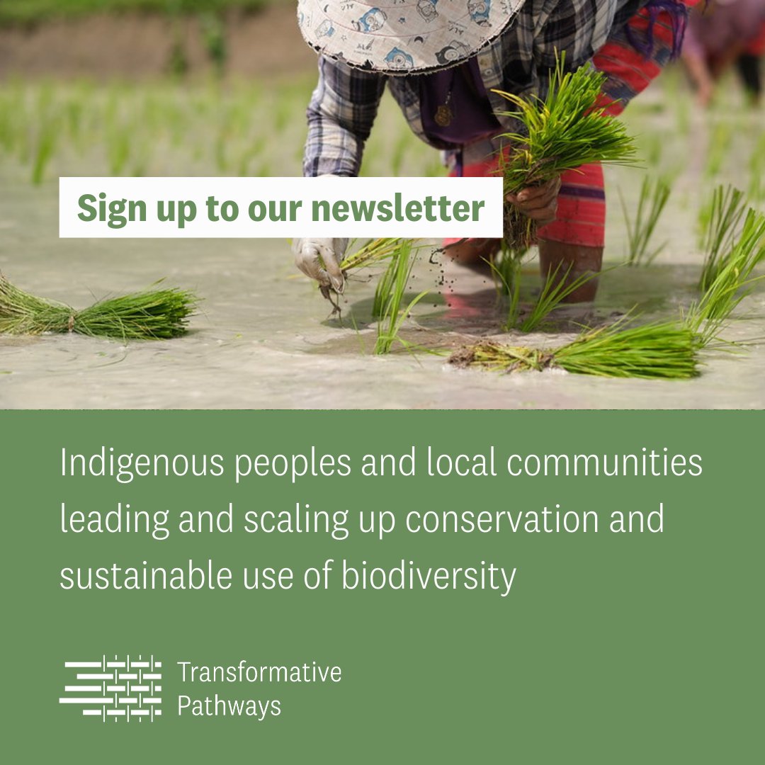 🌍 Did you know that indigenous peoples and local communities are leading the way in #biodiversity conservation across Asia, Africa and the Americas?

✍️Sign up for the #TransformativePathways newsletter to get quarterly updates on impactful initiatives🌱

bit.ly/44mrTrb