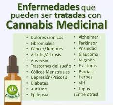 Linea de aceite de cannabis 100% orgánico!
Bueno para:
Dolores crónicos en general, Alzheimer, Párkinson, neuroprotector Cáncer, Autismo, Epilepsia, Diabetes, Ansiedad, Insomnio, Psoriasis, afecciones en la piel etc.
Mas información y Pedidos al 0983841880 
Envíos a todo el país