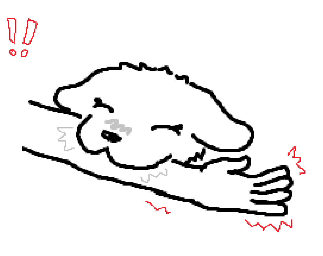 quoipi's tweet photo. CHOMP https://t.co/IGOo8bV3XF