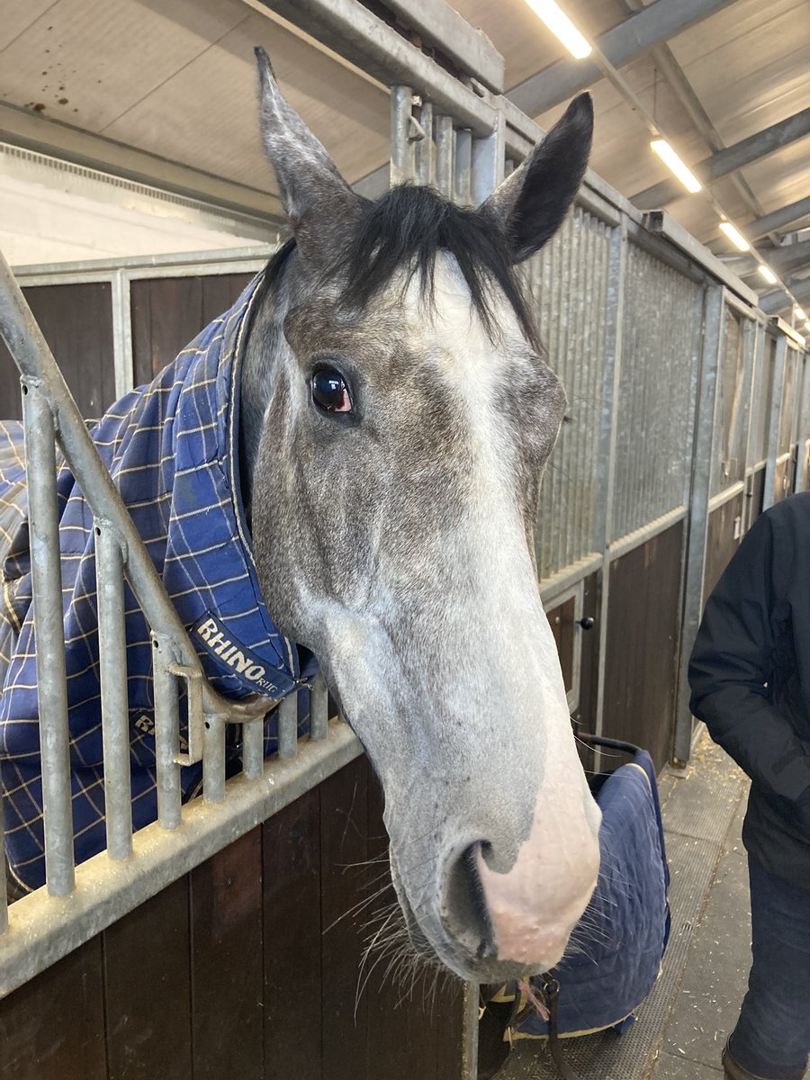 Some of our owners enjoyed a lovely morning on Saturday  <a href="/MHS_HorseRacing/">Manor House Stables</a> watching our horses enjoy their exercise . Big thanks to Hugo and the team for their hospitality . We can’t  wait for the flat season to start 🔵🟠🐎