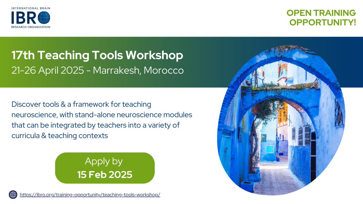 TRAINING OPPORTUNITY! 
Discover a framework for teaching #neuroscience - check out the 17th #Teaching Tools Workshop in Morocco! 🇲🇦
Apply by 15 Feb 2025: ibro.org/training-oppor…