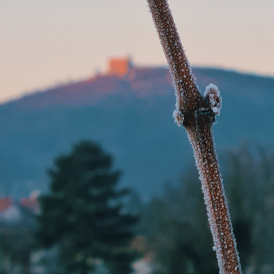 Schöne Wintergrüße vom Hambacher Schloss! ❄