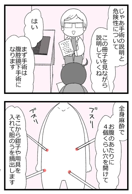 検査が終わり、手術の説明に入ります

胆石で手術した話⑤0/4   
#漫画が読めるハッシュタグ 