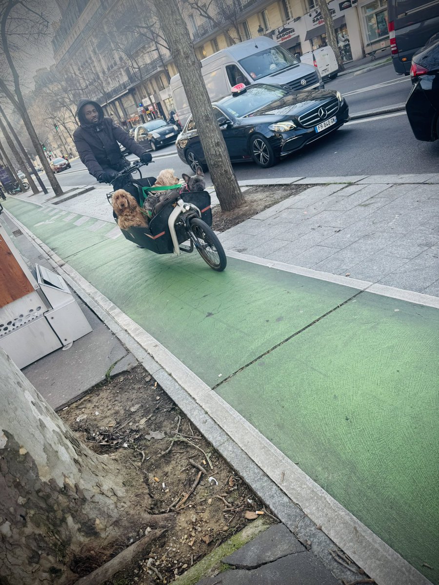 anna holligan 🎙 tweet media