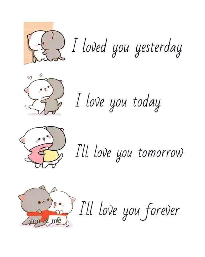 _mymsg's tweet photo. https://t.co/BtoVaQknlk