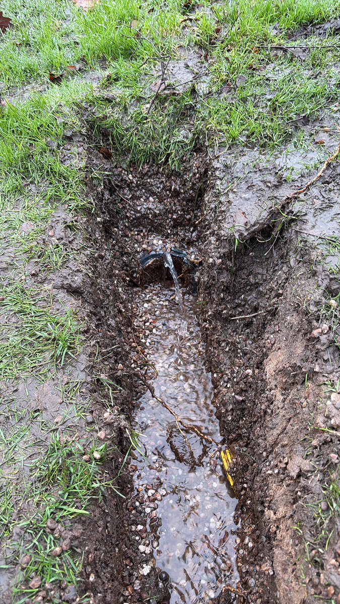 Perks of the golf course being shut because it’s still thawing out… Drains! Understandably a wet area looking at the roots in the pipes.  We’ll leave this area open while it dries out, then new pipe and stone. 💪🏻