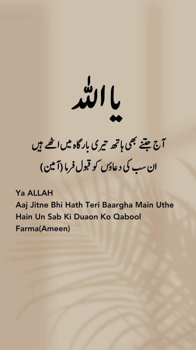 انت_الحیات tweet media