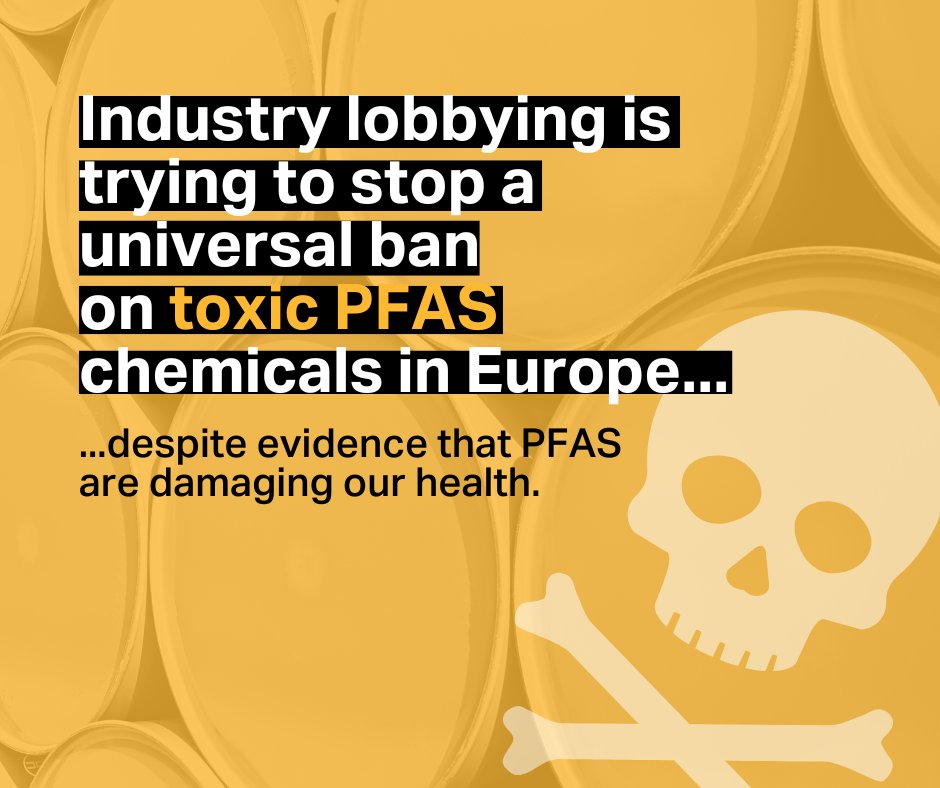 ClientEarth (@clientearth) on Twitter photo ☠️PFAS (forever chemicals) are used in many everyday products. They stick around for years & have negative effects on our health.
A universal ban on PFAS is being discussed by EU, but an investigation has revealed companies are spending £bns to stop it 👉 theguardian.com/environment/20… ☠️PFAS (forever chemicals) are used in many everyday products. They stick around for years & have negative effects on our health.
A universal ban on PFAS is being discussed by EU, but an investigation has revealed companies are spending £bns to stop it 👉 theguardian.com/environment/20…