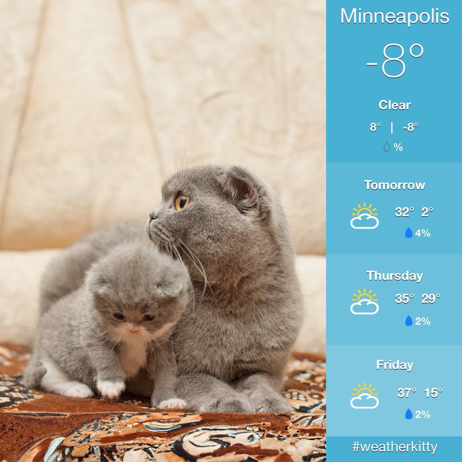 Janine Munson tweet media