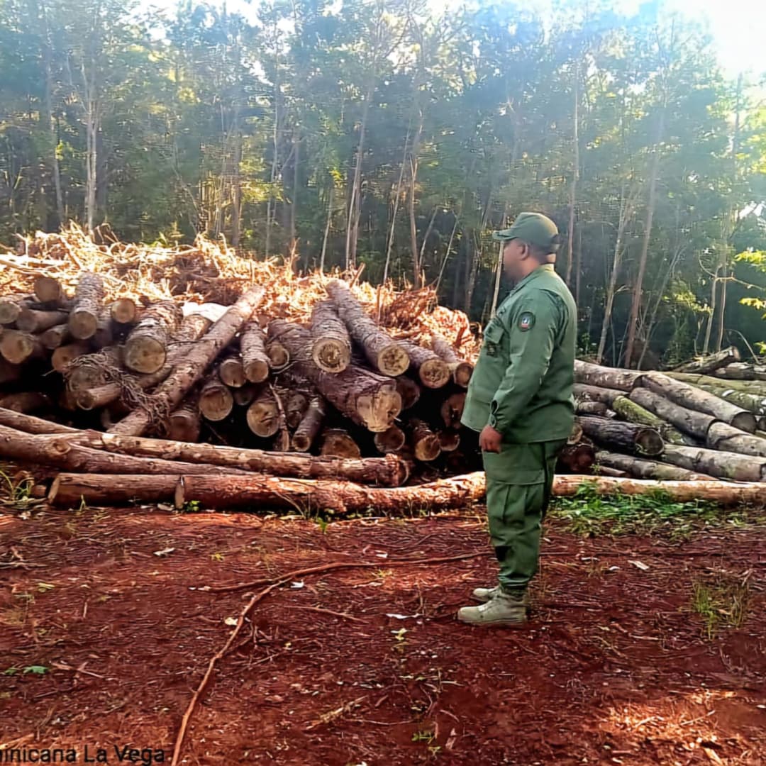 Servicio Nacional de Protección Ambiental tweet media