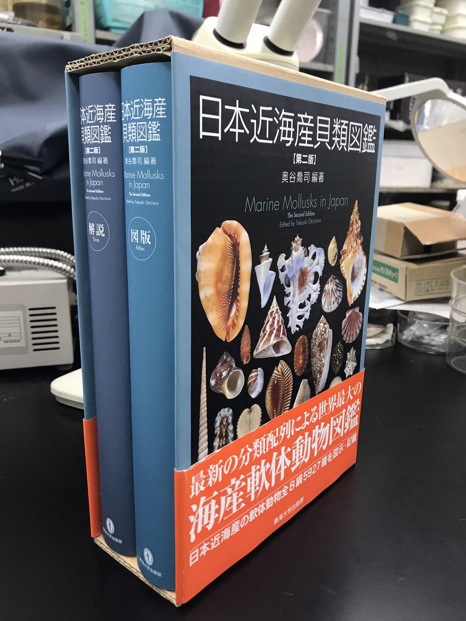 日本近海産貝類図鑑