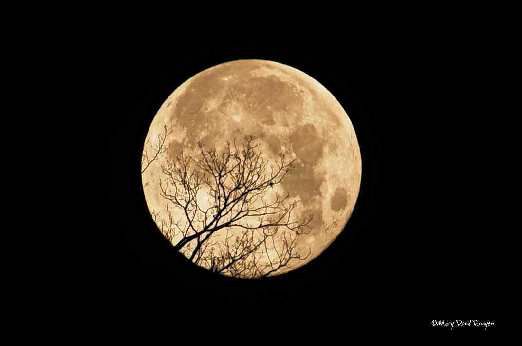 MaryReedRunyon1's tweet photo. The beautiful moon this morning. #HatfieldKY @WYMT @WSAZBrandon @brobwx @SpencerWeather @Kentuckyweather @cjwxguy56 @JoshFitzWx @JimWKYT @jloganwxguy #ekywx #kywx #sekywx #FullWolfMoon #FullMoon #moon https://t.co/xbLA9jI7B6