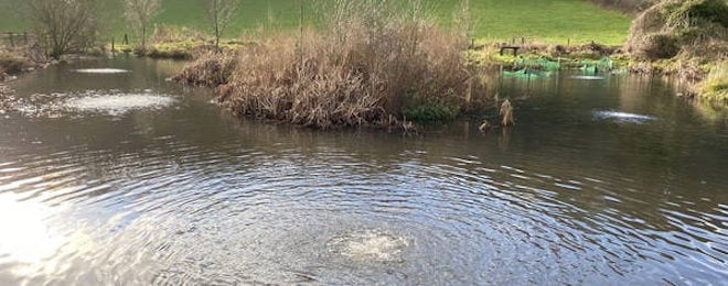 Bubbling marvels: article from <a href="/HeathlandGroup/">Heathland Group Limited - Fountains and Aerators</a> unveils the secrets of #diffuser technology ow.ly/ztUi50UsKgx