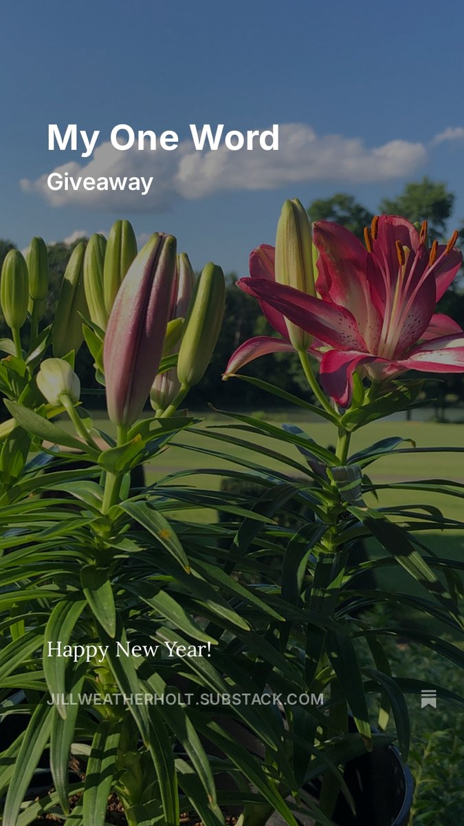 What's your One Word for 2025? #OneWord #NewYear2025  jillweatherholt.substack.com/p/my-one-word