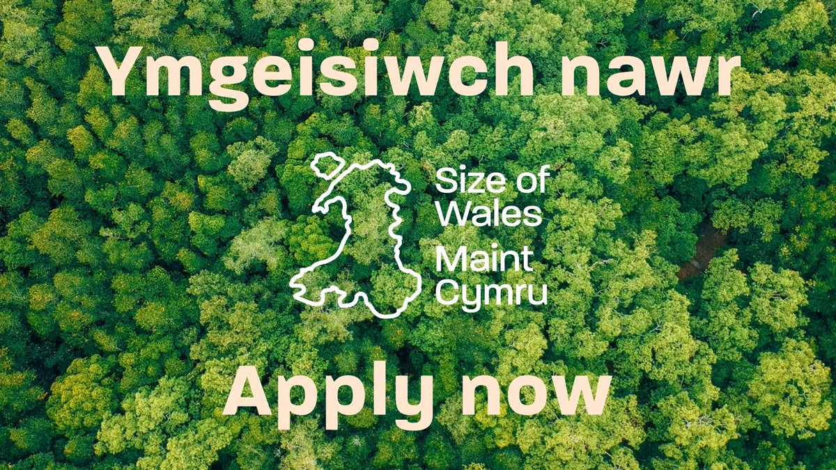 Rheolwr Cyfathrebu &amp; Marchnata Digidol Communications &amp; Digital Marketing Manager 

✨24 hrs a week - £33,000 FTE (£19,800 pro rata)
✨Flexible &amp; Hybrid
🗓️Dyddiad Cau | Closing date: 16/01/2025

sizeofwales.org.uk/vacancy/commun…