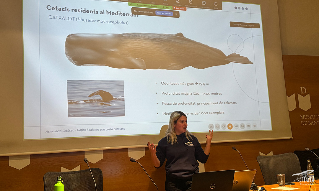 Associació Cetàcea tweet media