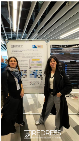 Redress Project tweet media