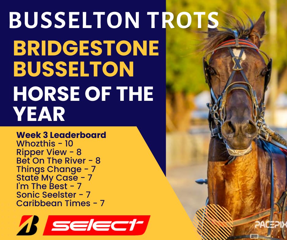 Busselton Trotting Club tweet media