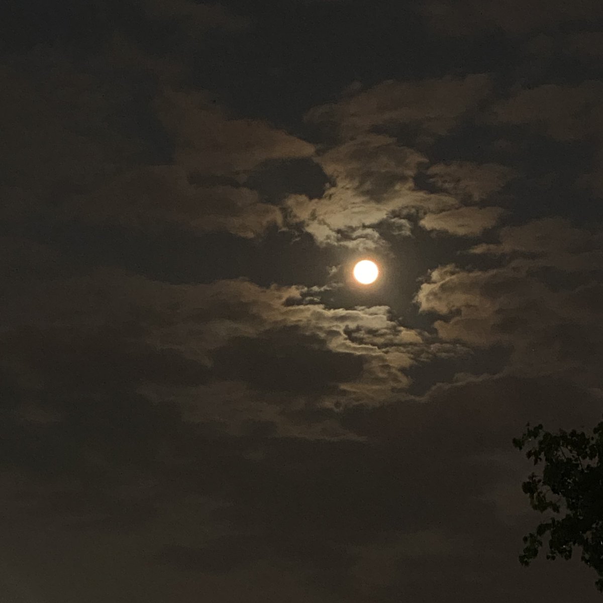 Así estamos amaneciendo