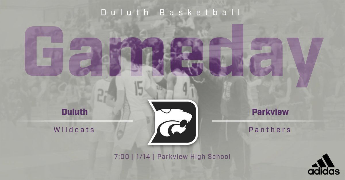 DuluthHSBoysBasketball tweet media