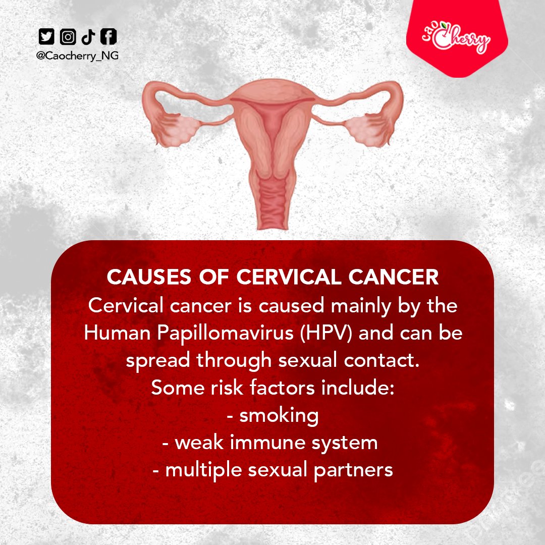 caocherry_ng's tweet photo. Early detection and prevention are crucial in the fight against cervical cancer. By understanding the risks, getting regular screenings, and practicing safe sex, we can empower ourselves and protect our health. https://t.co/U7zh8q9UUr