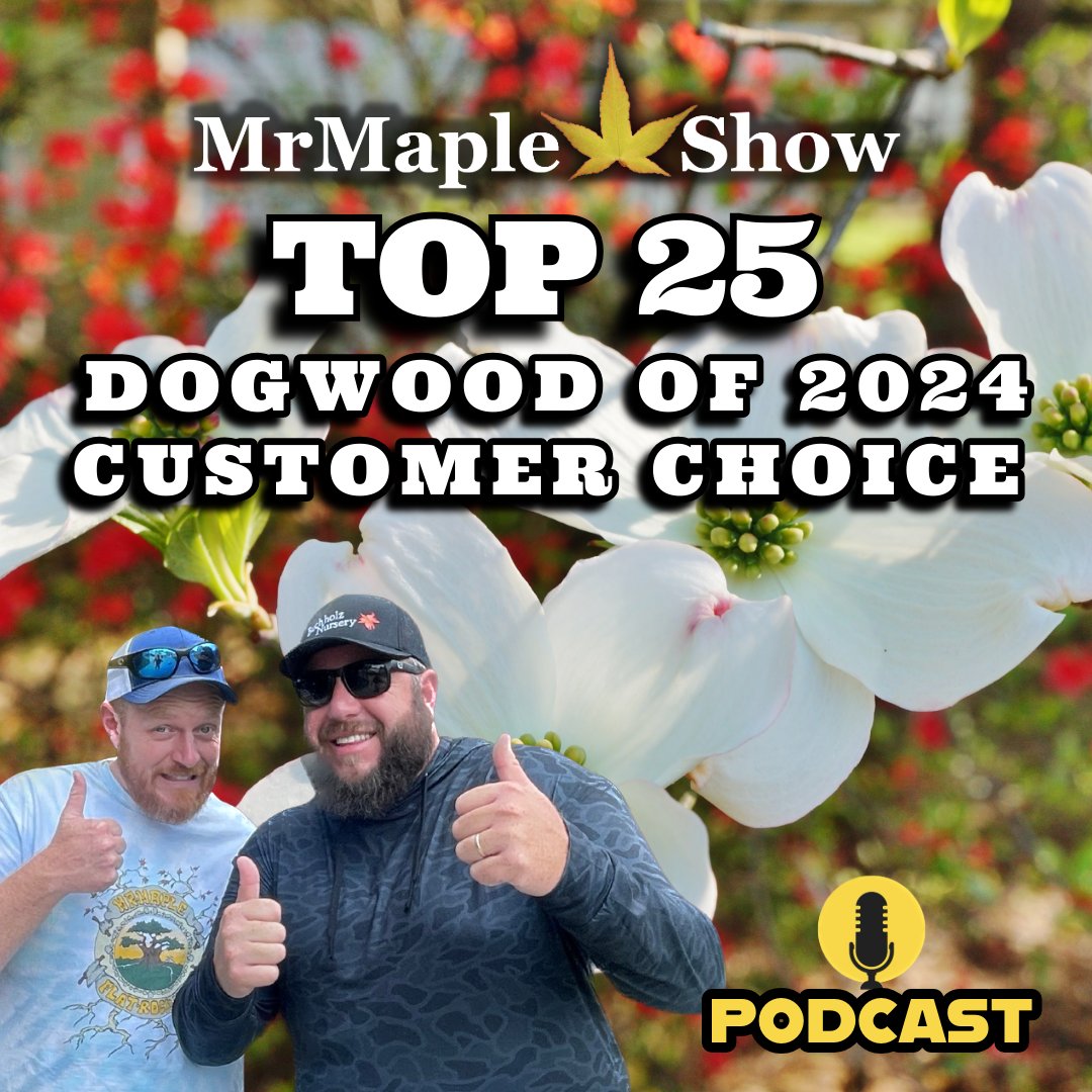 Coming up next on the MrMaple Show Podcast.
🐶🪵🔥🔥🔥🔥🔥