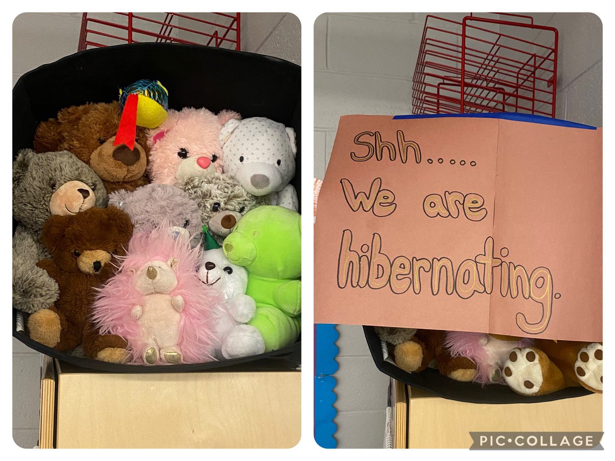 Our bears 🐻 and hedgehog 🦔 have settled in to hibernate till spring. Our snake 🐍 friend is hanging out but will wake up and eat while they participate in #brumationtime #hibernation #msfigskids #kindergartenrocks ❄️ #scienceisfun <a href="/School20Cougars/">Claremont Avenue School #20</a>