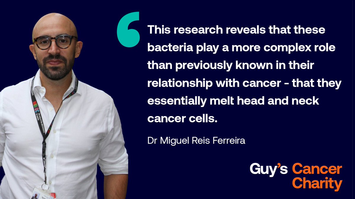 Did you know, charity funded research found a bacteria capable of destroying #cancer cells?

Now, <a href="/GSTTnhs/">Guy's and St Thomas'</a> <a href="/KingsCollegeLon/">King's College London</a> researchers are exploring how this can improve treatment options for cancer patients.

You can help fund breakthroughs like this: guyscancercharity.org.uk/stories/resear…