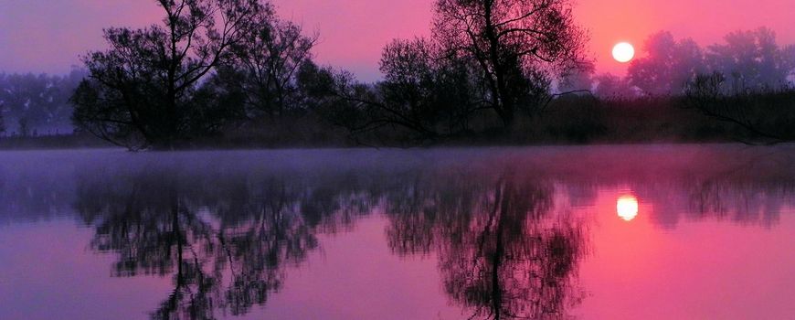 Ons voornemen voor 2025: de handen ineen voor een groener Nederland dlvr.it/THLnFQ