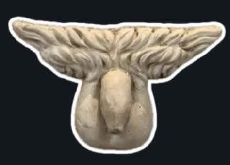 Il nuovo simbolo della lazie… 🤣🤣

#protesipeniena