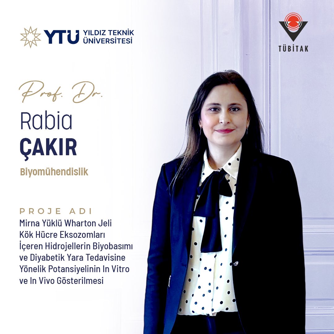 YTÜ Kimya-Metalurji Fakültesi Biyomühendislik Bölümü Öğretim Üyemiz Prof. Dr. Rabia Çakır, TÜBİTAK ARDEB 1001 Programı kapsamında desteklenen “MiRNA Yüklü Wharton Jeli Kök Hücre Eksozomları İçeren Hidrojellerin Biyobasımı ve Diyabetik Yara Tedavisine Yönelik Potansiyelinin In