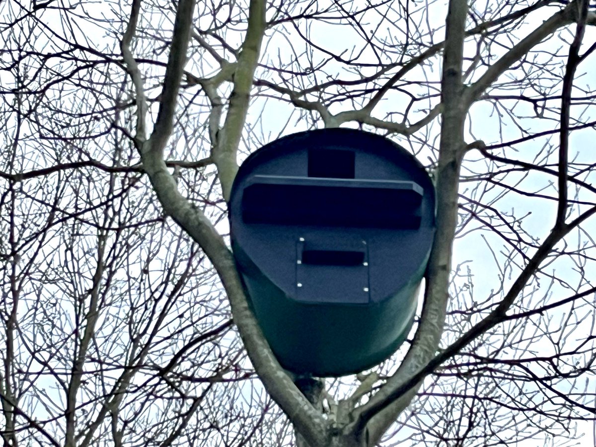 Paul Riddle tweet media