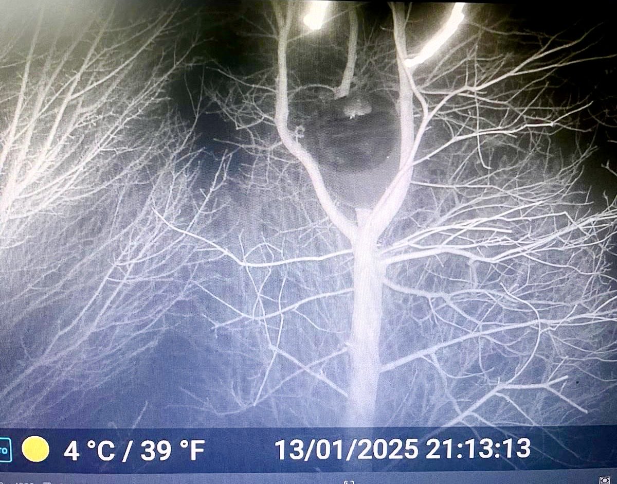 Paul Riddle tweet media