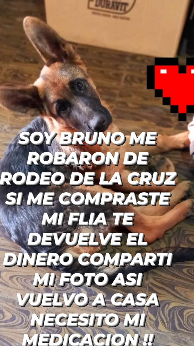 HugoTanco's tweet photo. COMUNICARSE AL 2612160514 RT! https://t.co/GPQLFtIVl4