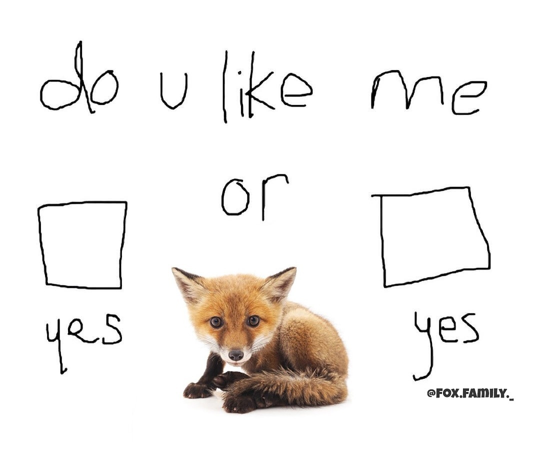 Do you like me???