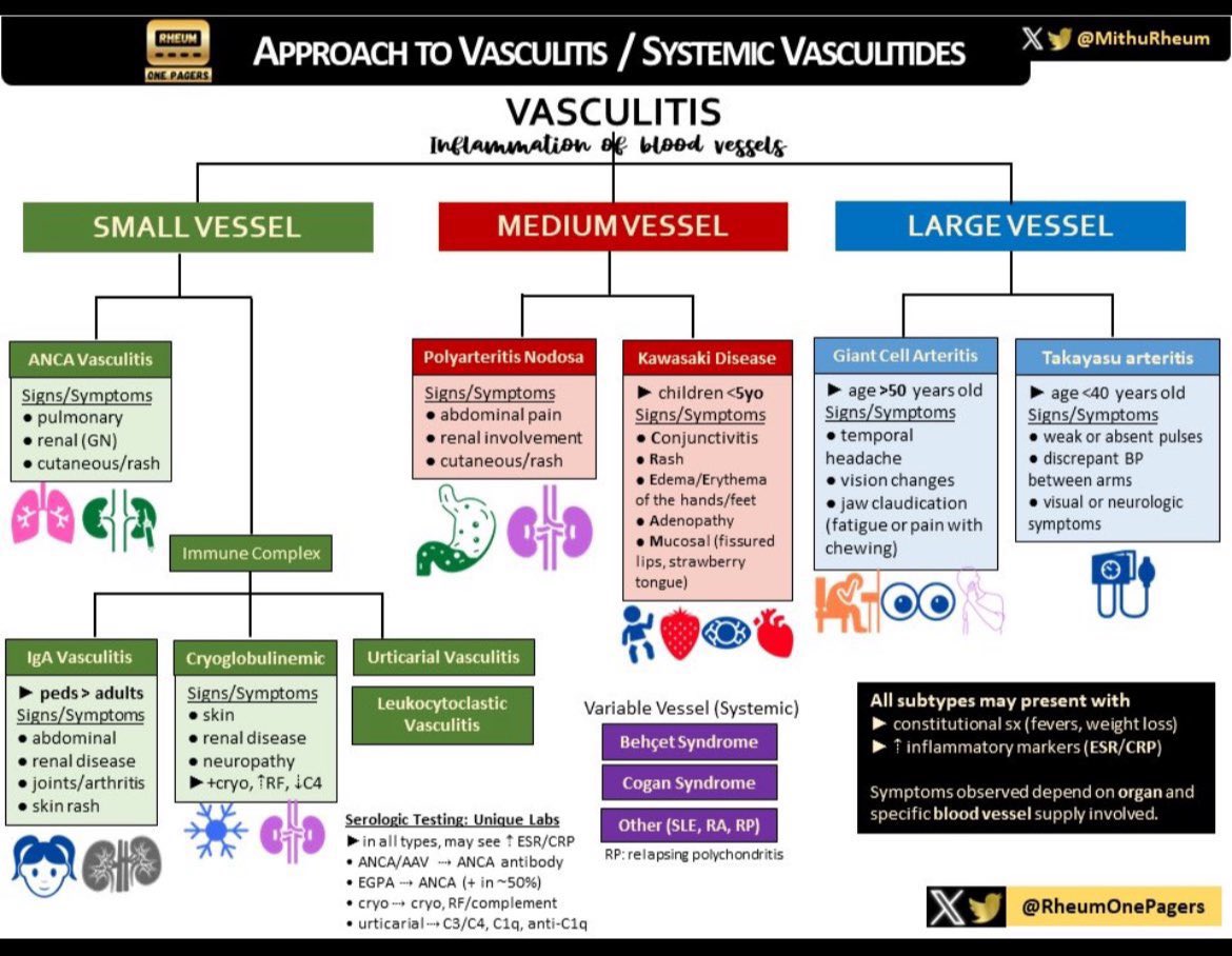 Jasmine Sethi tweet media