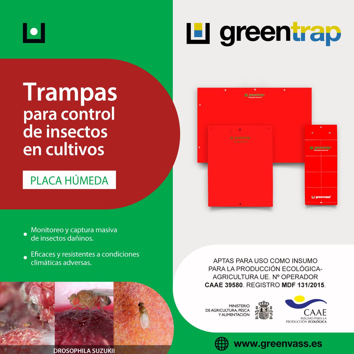 GREENVASS's tweet photo. Maximiza la calidad y rentabilidad de tus cultivos de frutos rojos con Greentrap® Rojo 🟥 
Nuestra trampa roja atrae selectivamente a esta plaga, protegiendo la calidad de tus frutos y garantizando tus ganancias. 
🍒🍎🫐🍇🍓🥝 https://t.co/cMrnrVK9eg