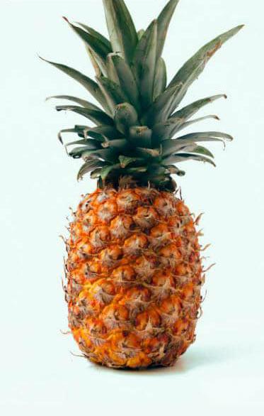 Here are some interesting facts about pineapples:

I. Origin and History

1. Native to South America: Pineapples originated in South America, specifically in present-day Brazil and Paraguay.
2. Columbus' Discovery: Christopher Columbus discovered pineapples in 1493 during his