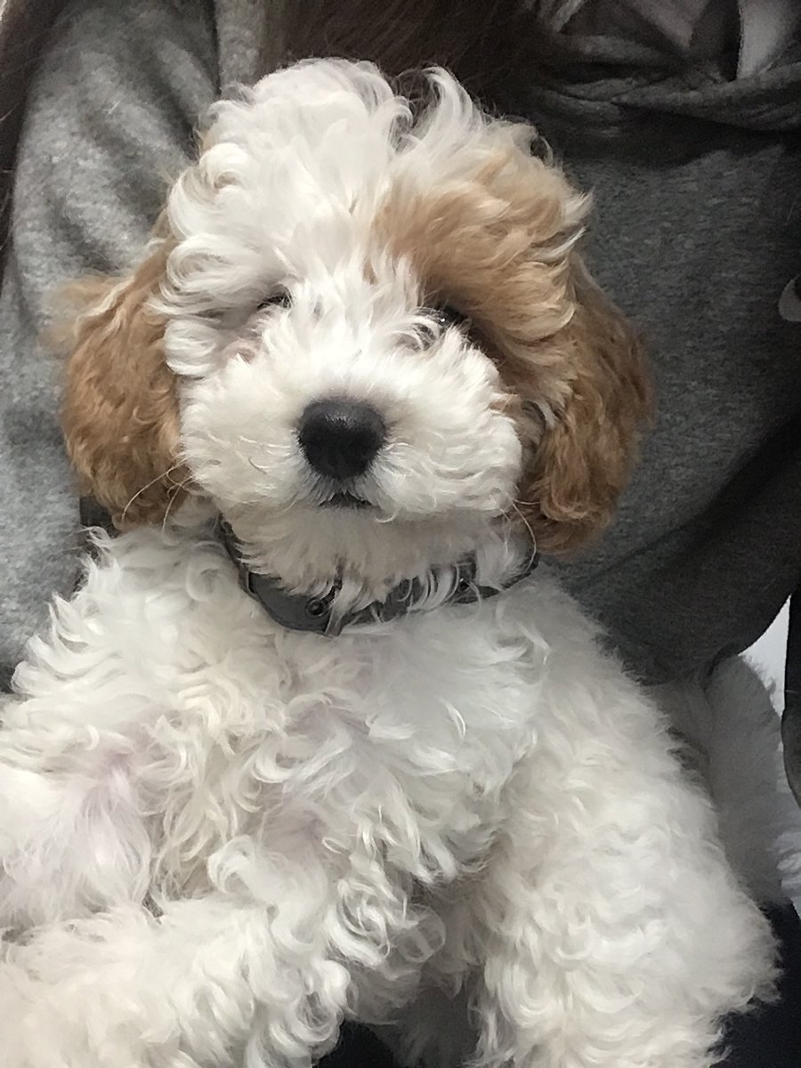 LSEATEndeavourAcademy tweet media