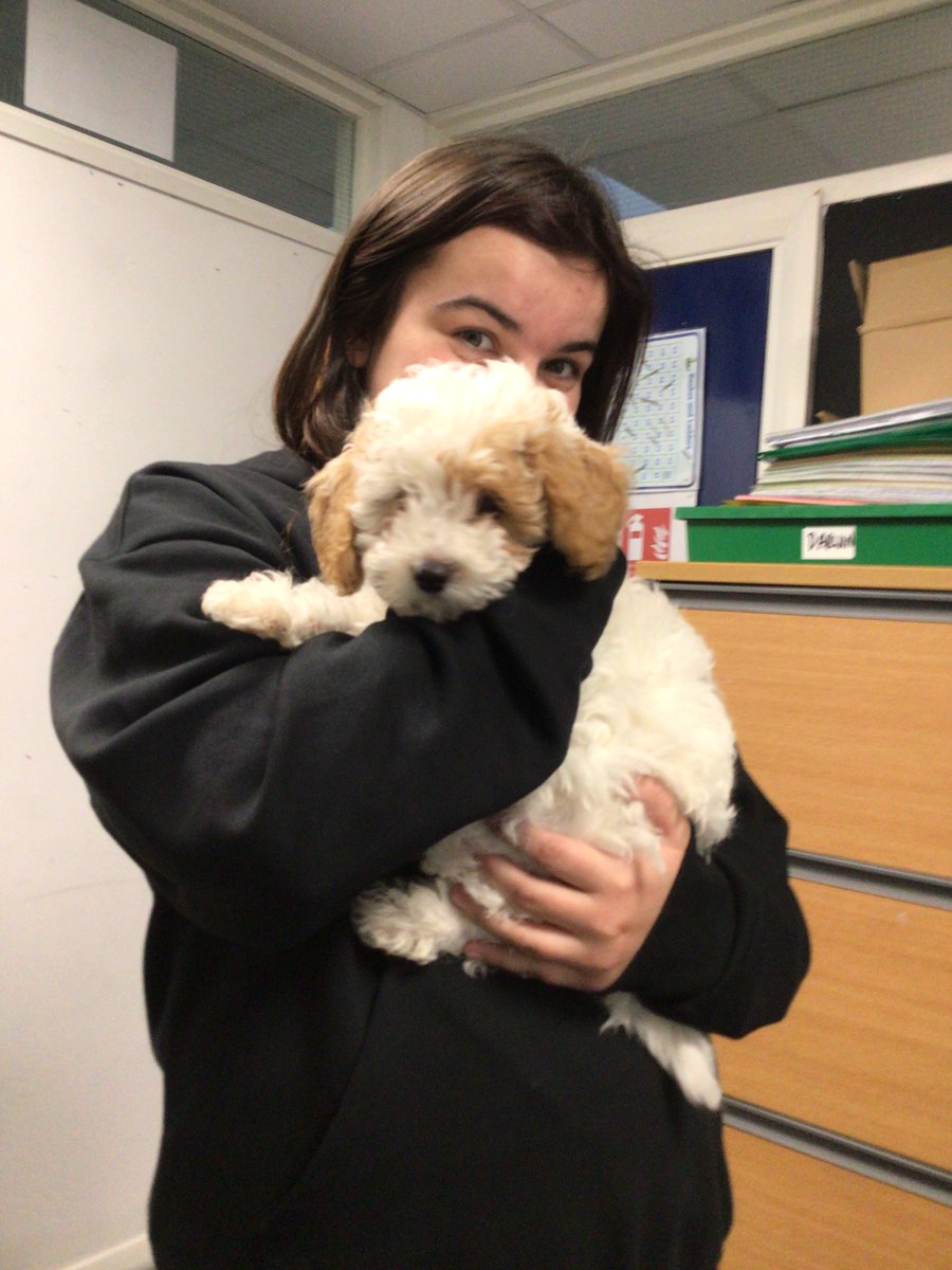 LSEATEndeavourAcademy tweet media